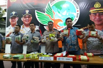 Jaringan narkoba Malaysia-Pekanbaru-Jakarta dibongkar
