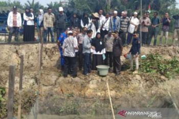 Bupati HST panen perdana budidaya ikan papuyu