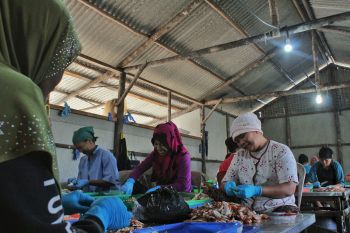 UMK Bintan 2020 diprediksi Rp3,6 juta