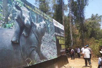Suaka Rhino Sumatera II habitat bagi badak liar Way Kambas