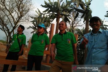 Pemkot Palu prioritaskan pembangunan sektor ekonomi berbasis mikro
