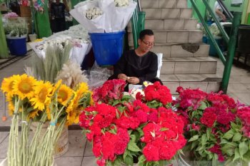Bunga matahari terbanyak diminati di Pasar Bunga Rawa Belong