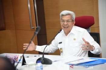 Pemprov Sumsel susun rencana induk pengembangan Pulau Maspari di OKI