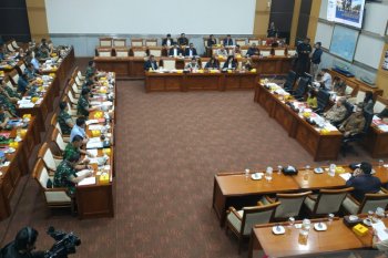 Panglima TNI paparkan potensi kerawanan Pilkada serentak 2020