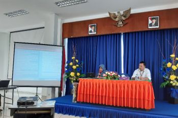 BPS: Produksi bijih logam Freeport pengaruhi pertumbuhan ekonomi Papua