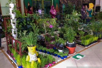 Lorong Sayur dan Lele Cendol dikembangkan mendukung ketahanan pangan