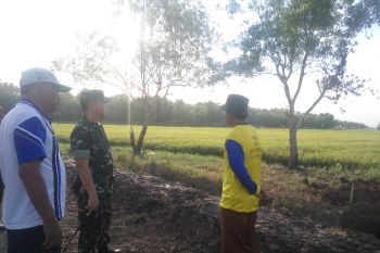 Dandim Lampung Timur tinjau pelaksanaan Program Serasi