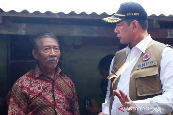 Pohon Pinago asal Pariaman jadi kebanggaan, BNPB rekomendasikan untuk atasi abrasi pantai (video)