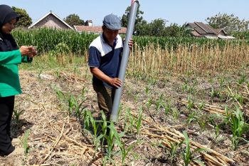 Petani Kediri berhasil buat alat penebar pupuk