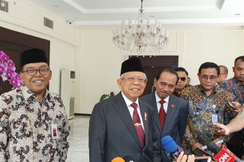 Wapres Ma'ruf Amin meminta data dana desa terus diperbarui