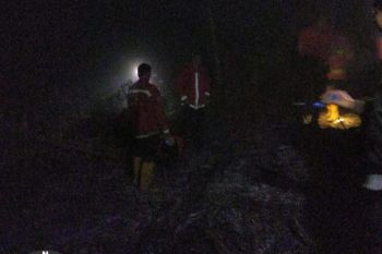Belum jelas sumber api, 1,5 hektare lahan perkebunan di Agam terbakar