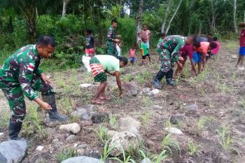 TNI ajak warga perbatasan manfaatkan lahan kosong untuk cocok tanam