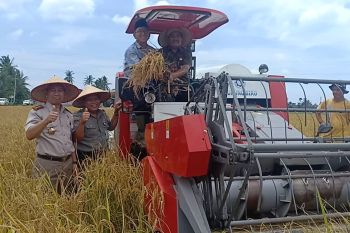 BPTP Sumbar gelar temu lapang dan panen perdana dengan teknologi jajar legowo super