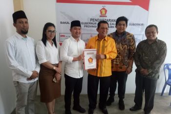 PPP kurang semangat hadapi Pilkada 2020