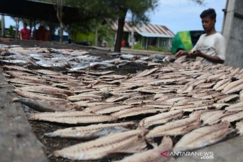 Produksi ikan kayu Banda Aceh menurun