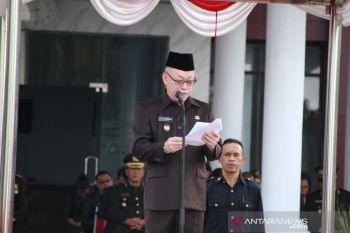 Wabup Pimpin Upacara Hari Pahlawan