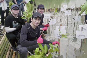 Grup Band poprock Wolftank pun ikut tanam mangrove