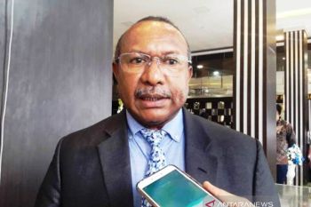 Pemprov Papua akui dua kabupaten belum membentuk BPBD
