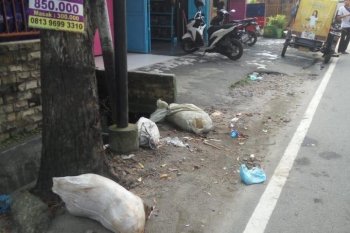 Astaga,  bangkai babi juga dibuang di jalanan Kota Medan