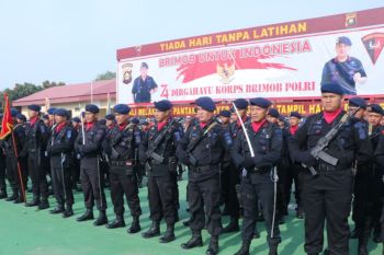 Pemprov Sumsel minta Brimob tingkatkan pengamanan hadapi  Pilkada