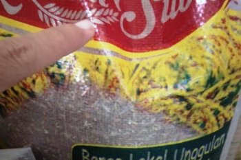 Ketekunan petani Lembah Suoh kembangkan beras organik