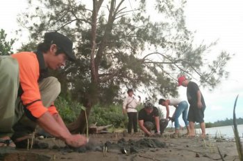 Pemkab Mukomuko libatkan pihak ketiga tanam mangrove