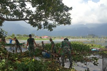 Pemkab Agam sebut 20 ton ecek gondok dikeluarkan dari Danau Maninjau