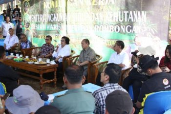 Pemerintah anggarkan rehabilitasi hutan dan lahan sebesar Rp2,7 triliun