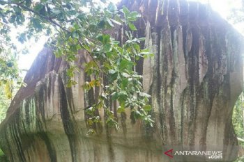 Singkawang kembangkan objek wisata Batu Belimbing