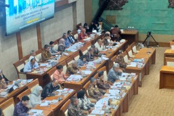 Komisi XI : PP untuk selamatkan asuransi Bumiputera