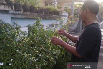 Kampung wisata perlu keterlibatan pemerintah