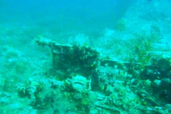 Arkeologi temukan bangkai pesawat Jepang di Teluk Wondama Papua Barat