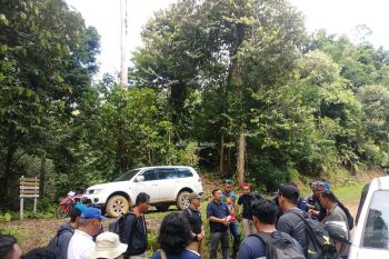 Hingga November 2019, 559 Orang Asing Masuk Kaltara