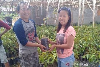 Pemkab Poso bagikan 7.500 bibit durian dukung kampung durian