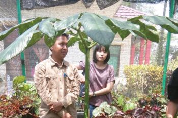 Kebun Raya Liwa sajikan keindahan dan panorama cantik