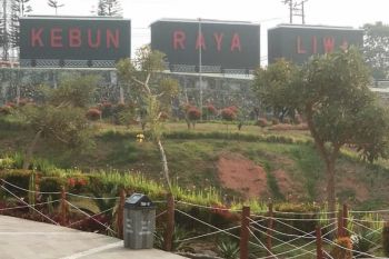 Kebun Raya Liwa, etalase hutan hujan tropis TNBBS di Provinsi Lampung