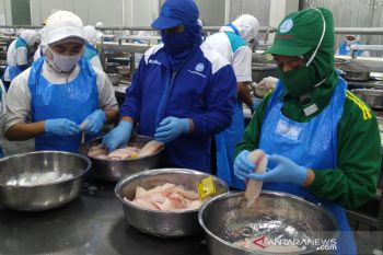 Aturan investasi ramah, Aquafarm Nusantara tingkatkan ekspor tilapia