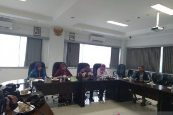 Pelamar CPNS bagi penyandang disabilitas sepi peminat