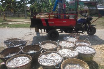Geliat nelayan Lampung Timur menghadapi musim angin barat