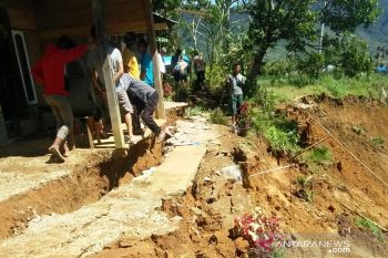 Banjir di Solok, 116 hektare tanaman padi puso
