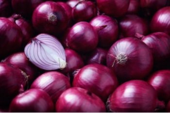 Lawan pilek hingga kanker payudara bisa dengan konsumsi bawang merah