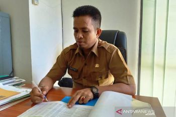 Bunga bangkai di air terjun Palano
