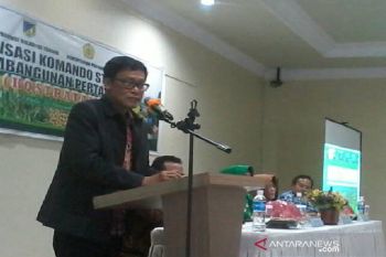 Upaya pemerintah wujudkan kedaulatan pangan nasional