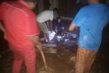 Belum sempat nikmat hasil curian sarang walet, dua warga agam ini dibekuk polisi