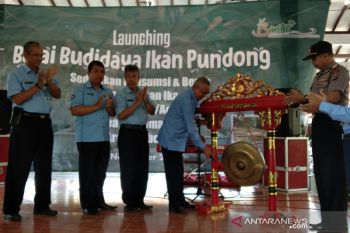 Bupati Bantul meresmikan pemanfaatan Balai Budidaya Ikan Pundong