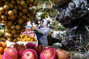 Festival Mikul Buah menjadi ajang refleksi 105 tahun sejarah Pasar Minggu