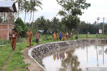 Dinas Pertanian Payakumbuh tinjau sawah warga terdampak banjir