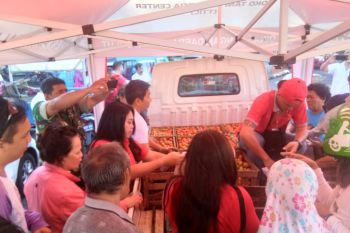 Pemprov Sulut Tingkatkan OP Tomat Hingga Harga Stabil