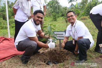 PLN UIW Sumbar tunjukan peduli lingkungan dengan tanam 1.500 pohon