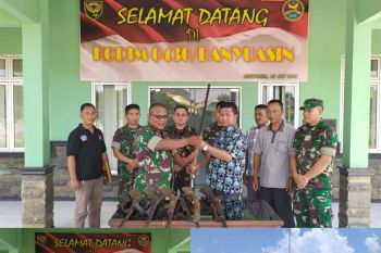 Warga Banyuasin serahkan sembilan pucuk  senjata api
